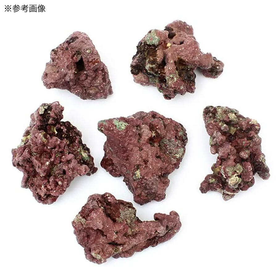 （海水魚）ライブロック　ＥＸＳグレード　レッドロック　ＳＳサイズ（５個）（形状お任せ）　北海道・九州航空便要保温 | チャーム（ペット） | 05