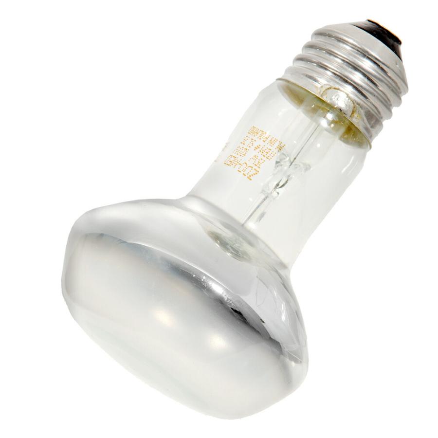 ZOOMED（ズーメッド） レプティ バスキングスポットランプ 75W