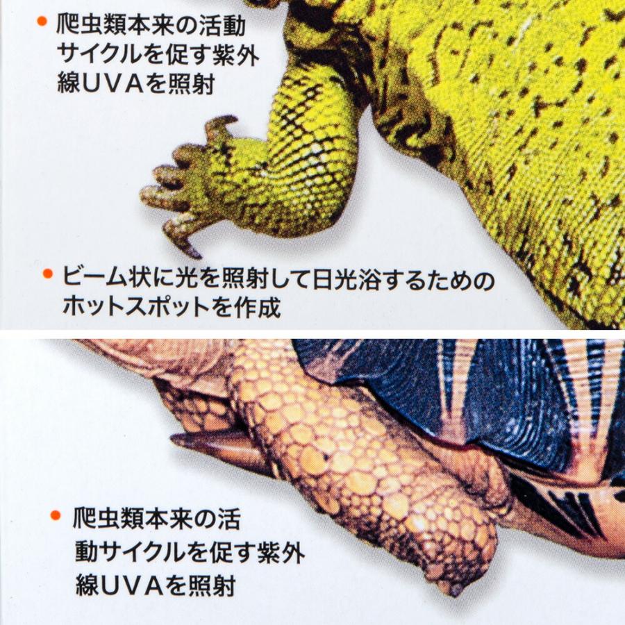 ZOOMED（ズーメッド） レプティ バスキングスポットランプ 75W