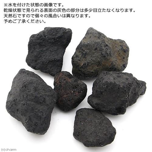 形状お任せ　浅間溶岩石　Ｓサイズ（約８〜１３ｃｍ）　６個　アクアリウム　レイアウト素材｜chanet｜02