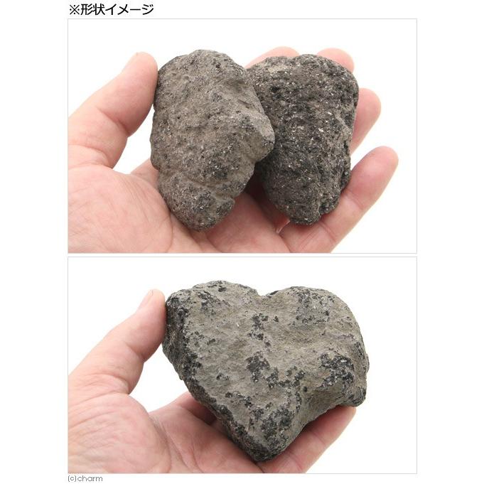 形状お任せ　浅間溶岩石　Ｓサイズ（約８〜１３ｃｍ）　６個　アクアリウム　レイアウト素材｜chanet｜03