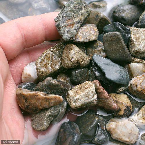 自然石観賞用 楽天市場】【水石】 宇和島 抹香石 （愛媛） 天然 【自然石 鑑賞石