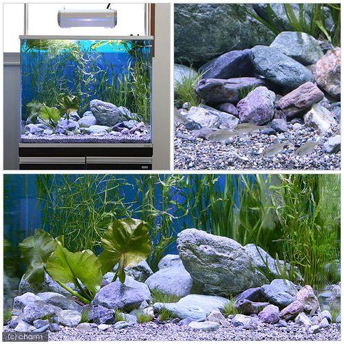 チャーム（charm） 渓流石 No．7 1kg 粒径5〜35mm お一人様