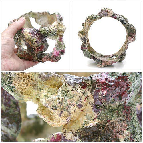 ライブロックレプリカ ライブロックリング 10cm : チャーム charm