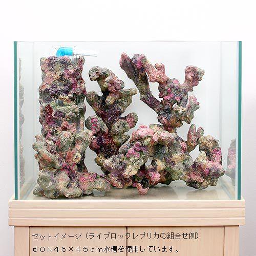 ライブロックレプリカ ライブロックリング 10cm : チャーム charm