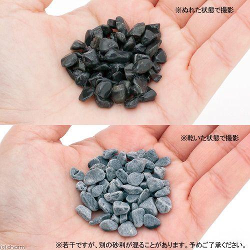 未使用品、付属品付 南部成龍堂鋳 及川光正 斎峰造 宝珠形馬蹄鉉 南部