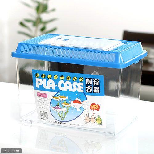 飼育容器 中 青 ２９０ １８５ ２０５ｍｍ プラケース 虫かご 昆虫 メダカ ザリガニ 両生類など チャーム Charm Paypayモール店 通販 Paypayモール