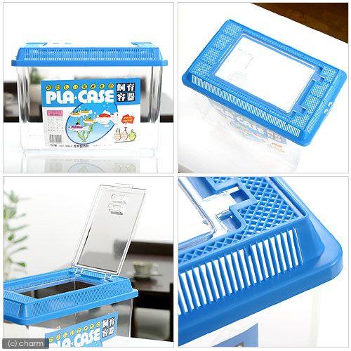 飼育容器 中 青 ２９０ １８５ ２０５ｍｍ プラケース 虫かご 昆虫 メダカ ザリガニ 両生類など チャーム Charm Paypayモール店 通販 Paypayモール