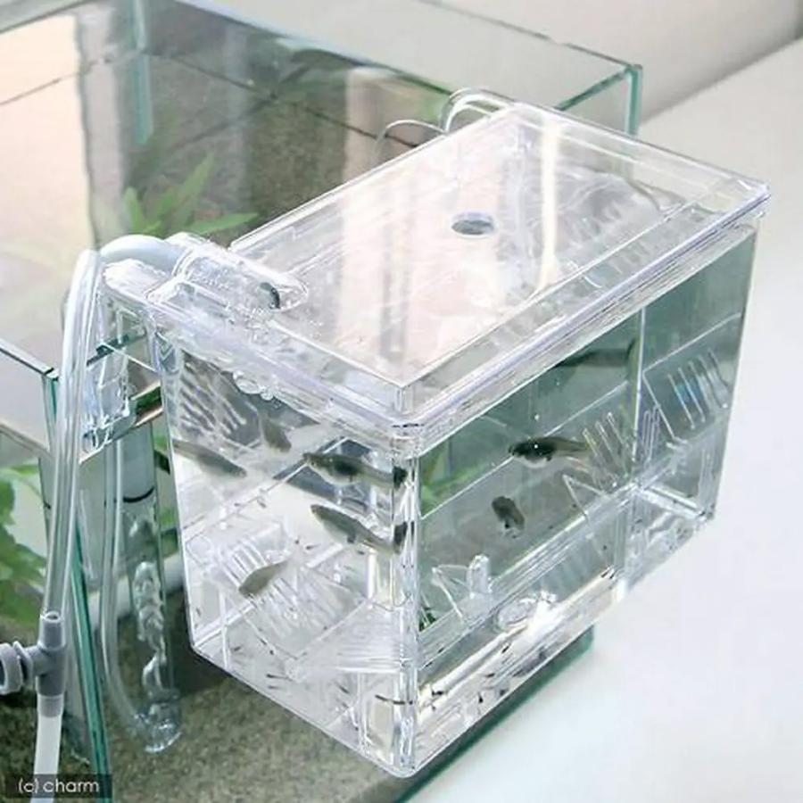 スドー　外掛式産卵飼育ボックス　サテライト | スドー | 02