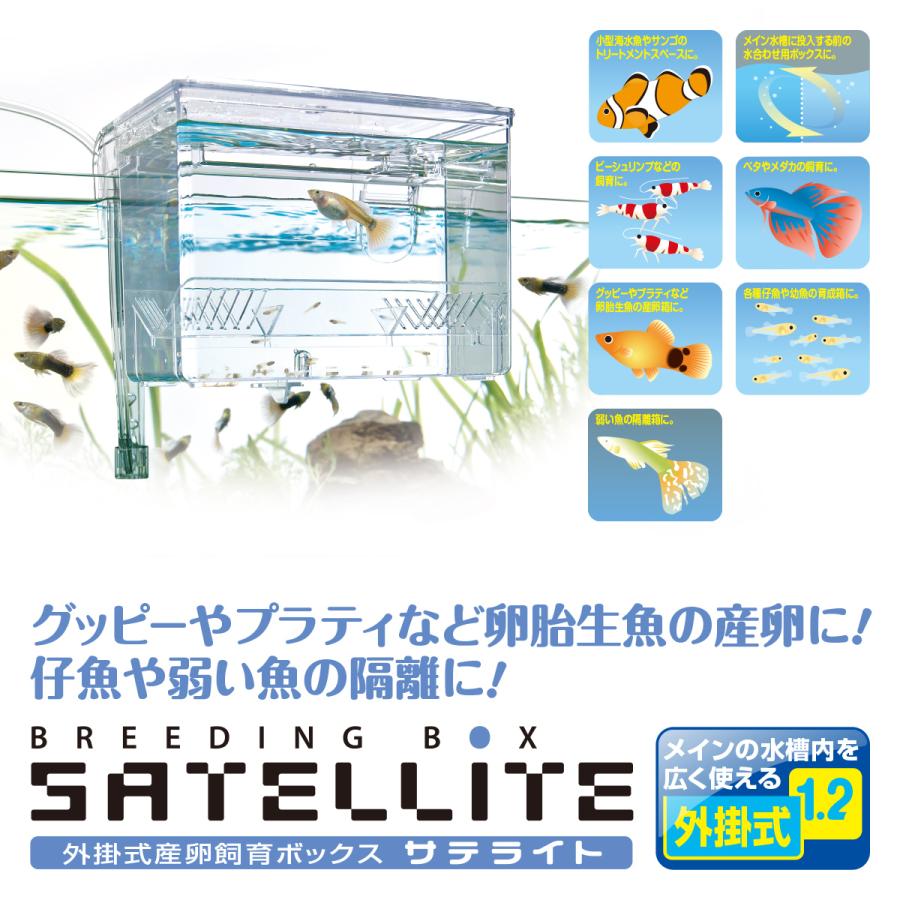 スドー　外掛式産卵飼育ボックス　サテライト | スドー | 03