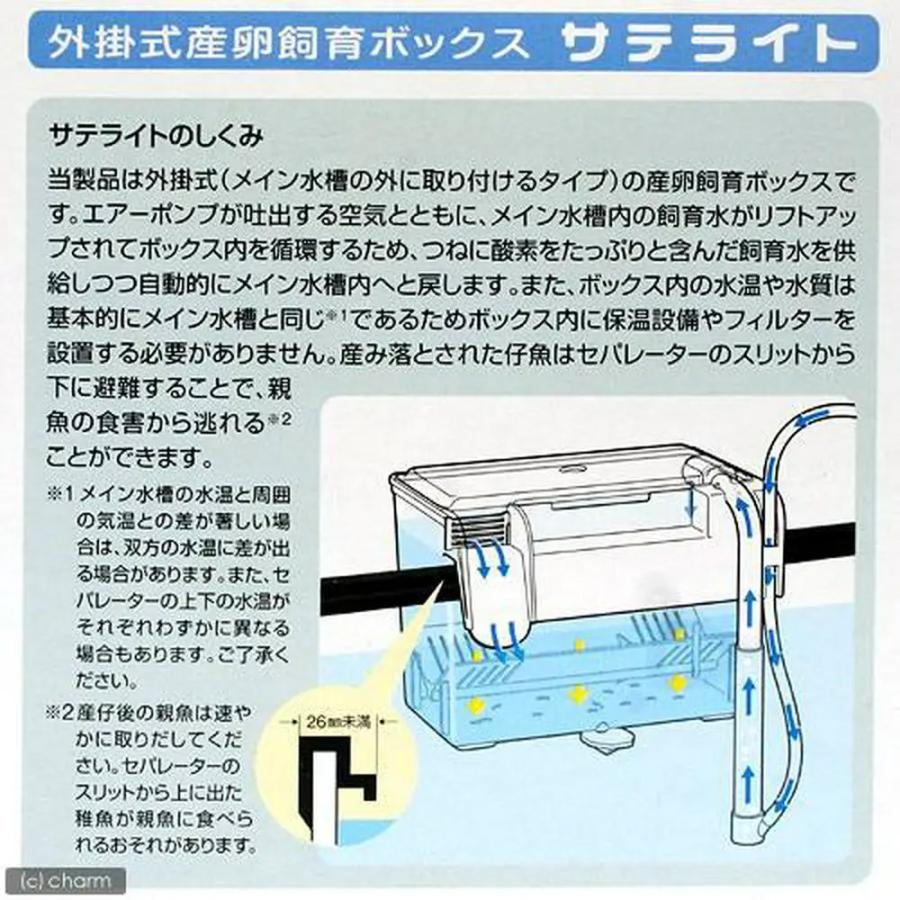スドー　外掛式産卵飼育ボックス　サテライト | スドー | 04