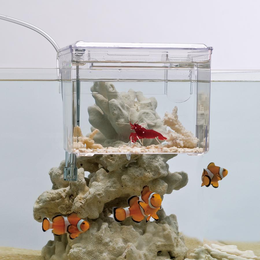 スドー　外掛式産卵飼育ボックス　サテライト | スドー | 07