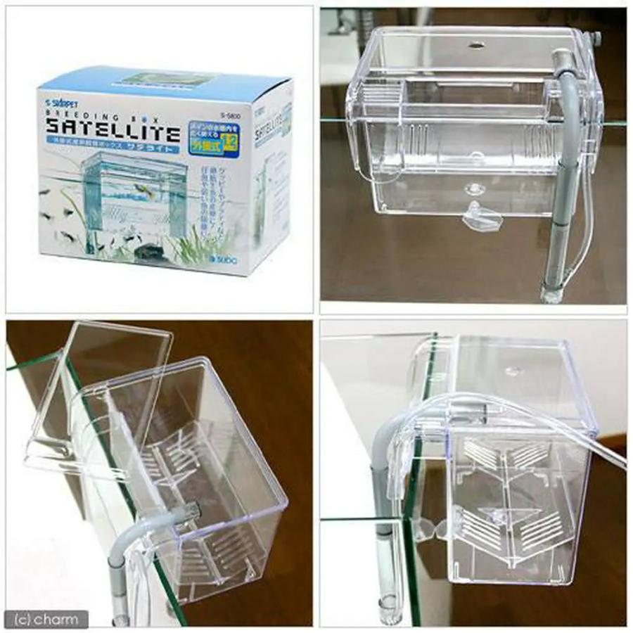 スドー　外掛式産卵飼育ボックス　サテライト | スドー | 08