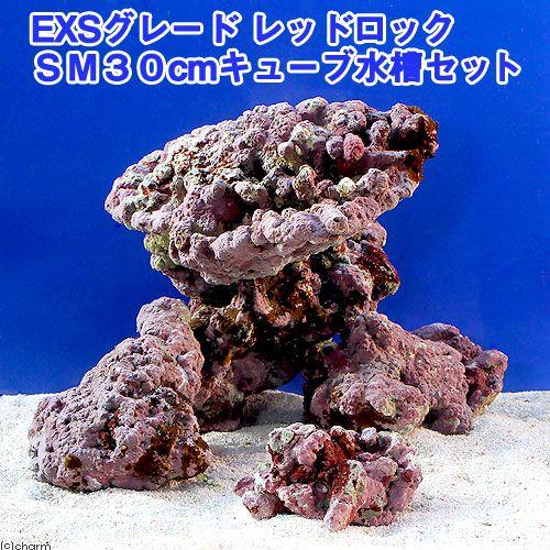 様専用 ライブロック5kg AEW7iNJnGE - taprobanemed.com 様専用 ライブロック5kg AEW7iNJnGE - taprobanemed.com