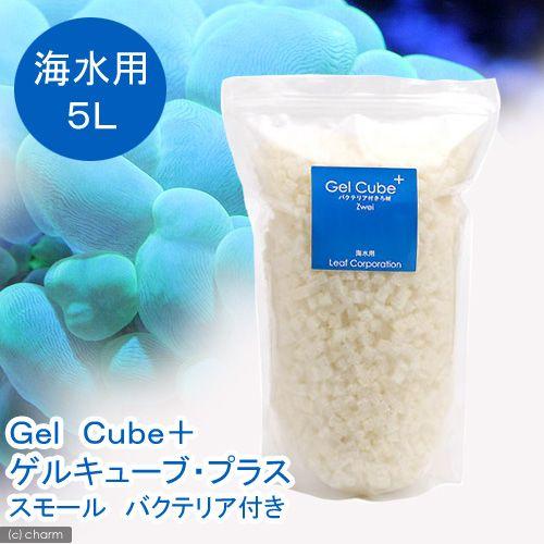 チャーム（charm） （海水魚）ろ材 海水用 Gel Cube＋（ゲル