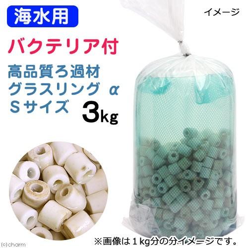 チャーム（charm） （海水魚）ろ材 海水用 バクテリア付き ライブろ材