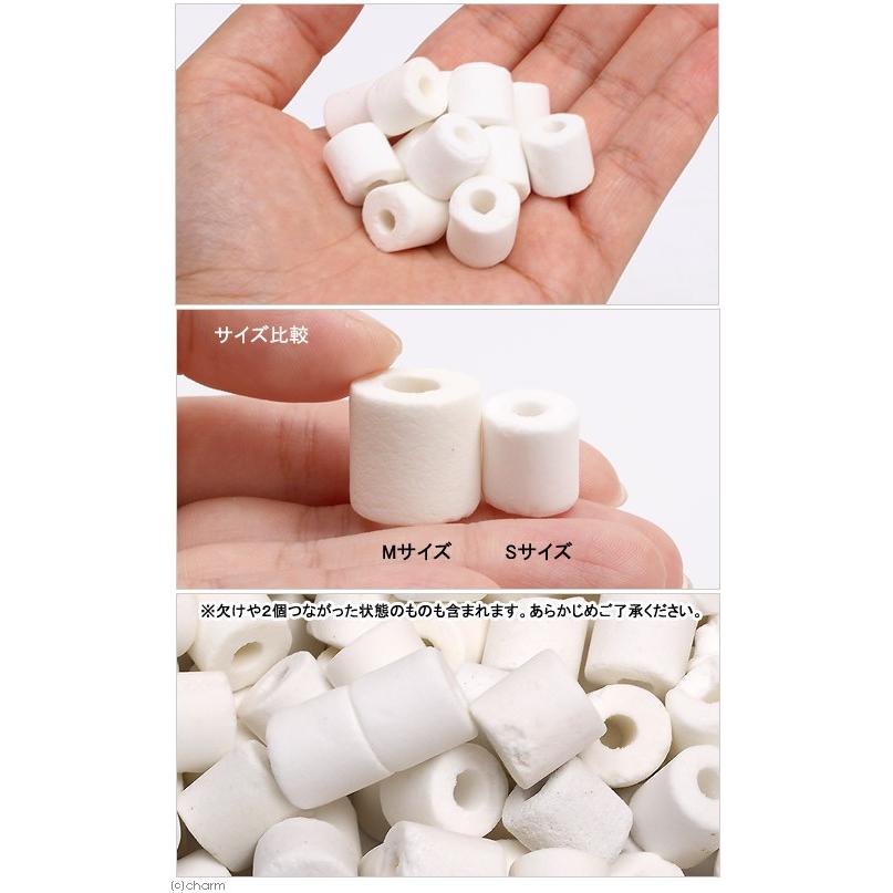 海水魚 ろ材 海水用 バクテリア付き ライブろ材 グラスリング A アルファ ｓサイズ ３ｋｇ 北海道航空便要保温 チャーム Charm Paypayモール店 通販 Paypayモール