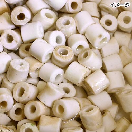 チャーム（charm） （海水魚）ろ材 海水用 バクテリア付き ライブろ材