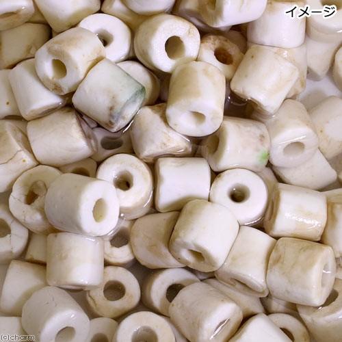 専用ろ材セット チャーム（charm） （海水魚）ろ材 海水用 バクテリア付き ライブろ材