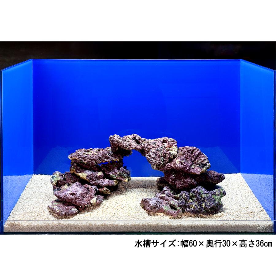 海水ライブロック約４０kg 海水魚）ライブロック プレート状 サイズミックス（4kg） 北海道
