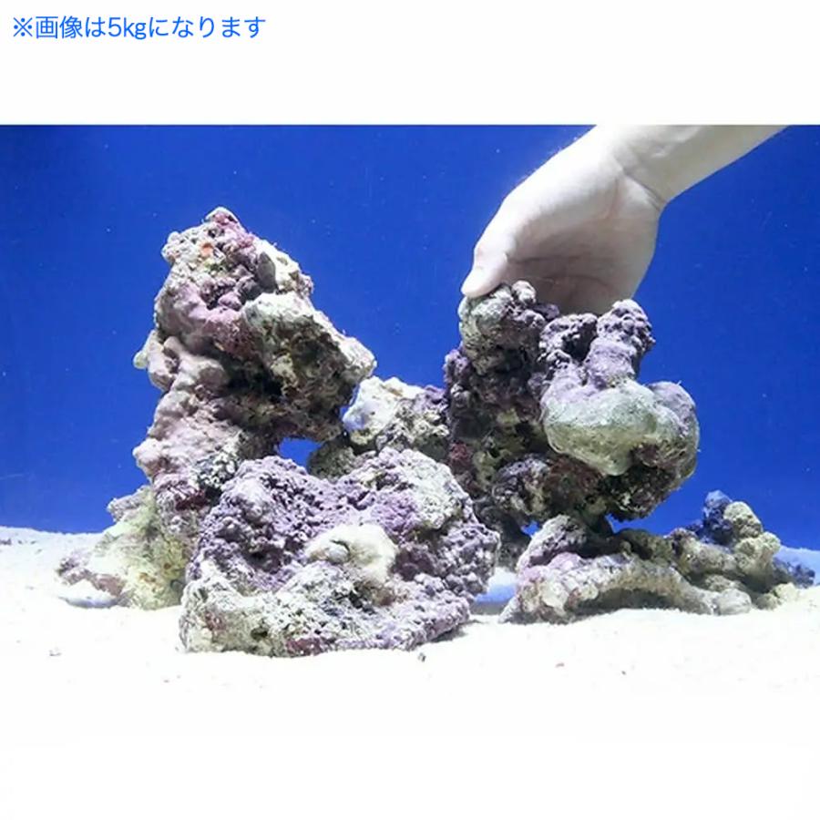 海水魚）Sグレードライブロック M−Lサイズミックス（20kg