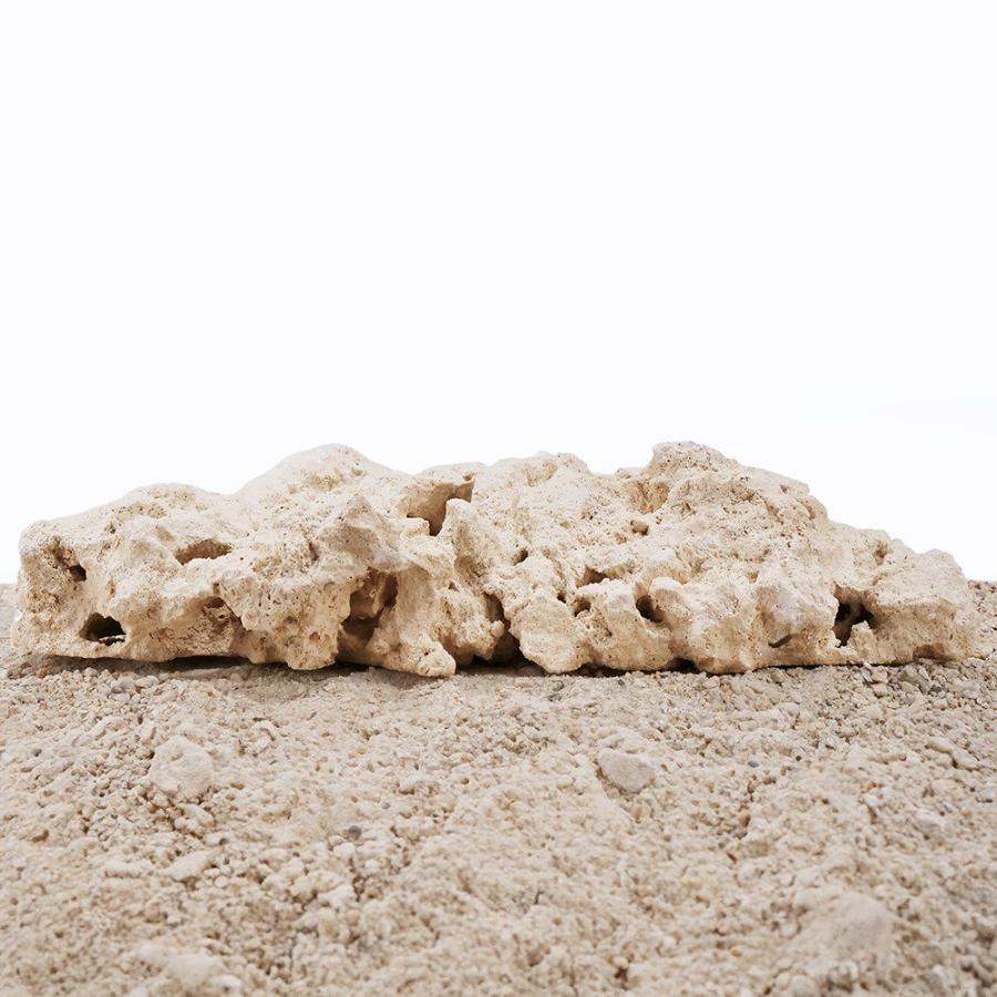 マルコロック ファウンデーション Mサイズ 1個 サンゴ 石 海水 水槽