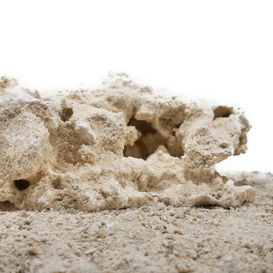 マルコロック ファウンデーション Mサイズ 1個 サンゴ 石 海水 水槽