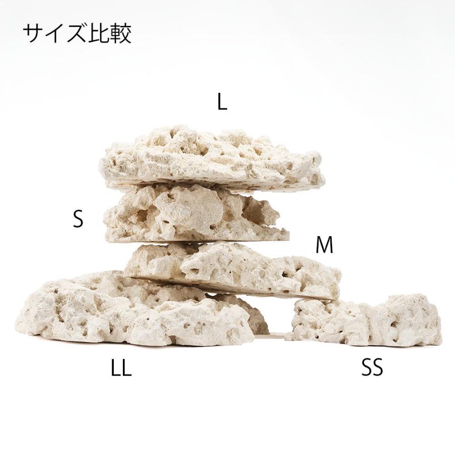 マルコロック ファウンデーション Mサイズ 1個 サンゴ 石 海水 水槽