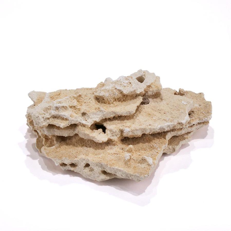 マルコロック シェルフ Sサイズ 10kgセット サンゴ 石 海水 水槽