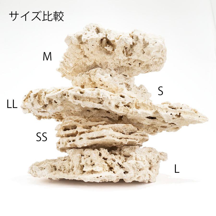 マルコロック シェルフ Sサイズ 10kgセット サンゴ 石 海水 水槽