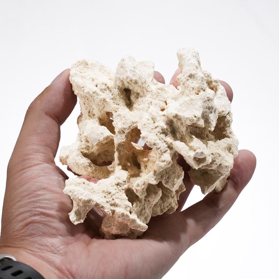 マルコロック リーフセーバー エッジ（Edge） SSサイズ 1kg