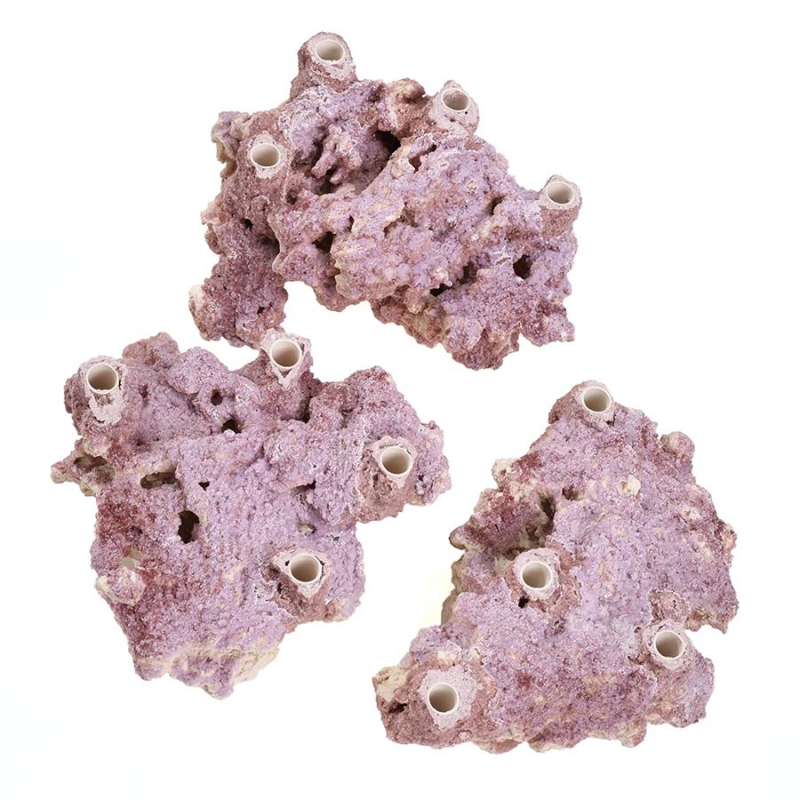 マルコロック セラミックプラグベース 4プラグホール（1個） 海水