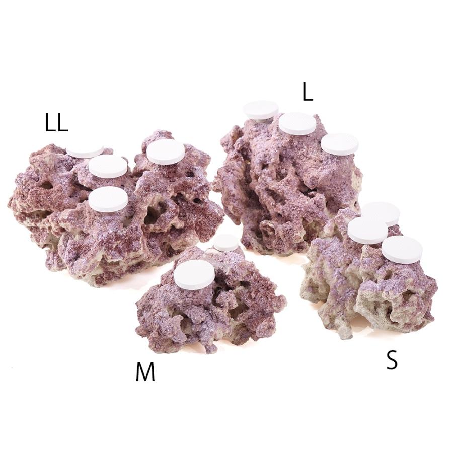 マルコロック セラミックプラグベース 4プラグホール（1個） 海水
