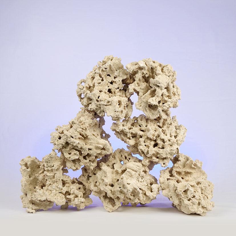 マルコロック リーフセーバー エッジ（Edge） Mサイズ 16