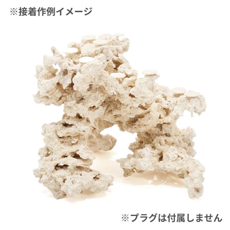 【一点物】マルコロック（土台タイプ） マルコロック 30cmキューブ水槽用 カスタムロック作成セット
