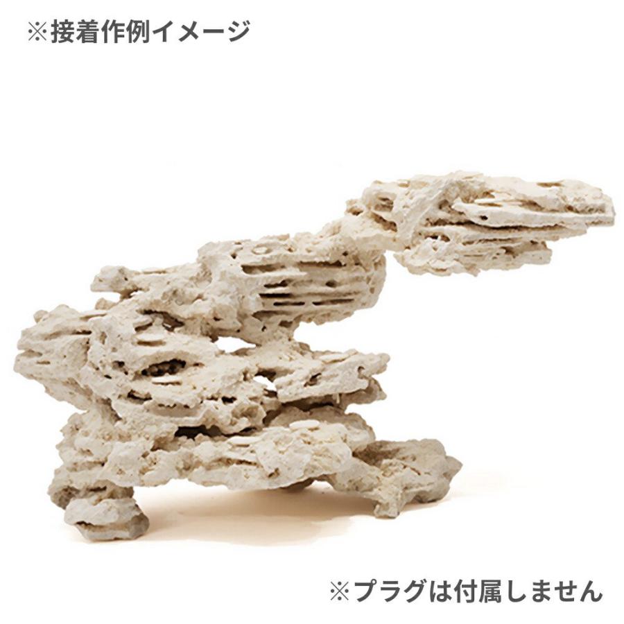 マルコロック シェルフ 6045水槽用カスタムセット : チャーム