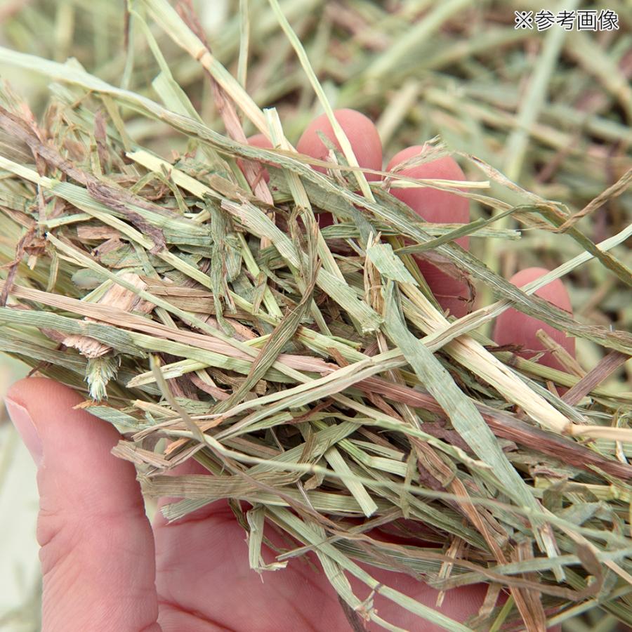 Leaf Corp アメリカ産チモシー 2番刈 ダブルプレス チャック袋