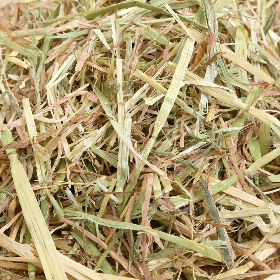 プレミアム オーツヘイ ダブルプレス チャック袋 ５００ｇ 牧草 うさぎ 小動物 お一人様７点限り チャーム Charm Paypayモール店 通販 Paypayモール