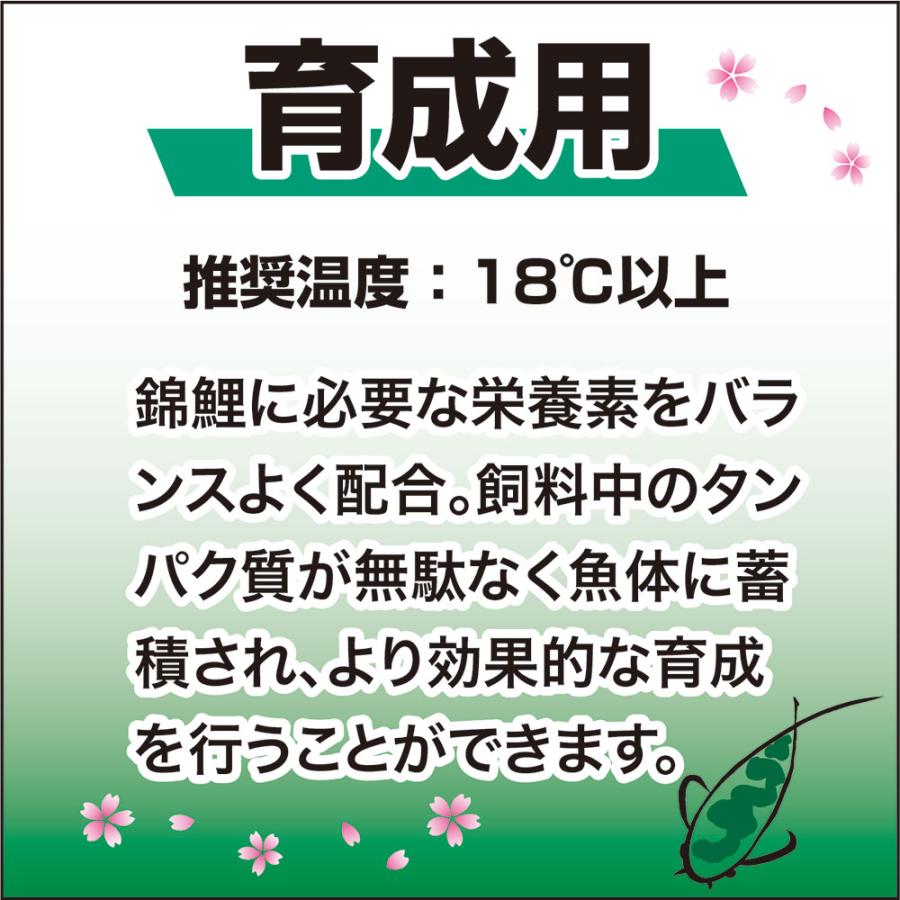 キョーリン　咲ひかり　育成用　浮上　Ｓ　２ｋｇ　錦鯉　餌　お一人様６点限り｜chanet｜04