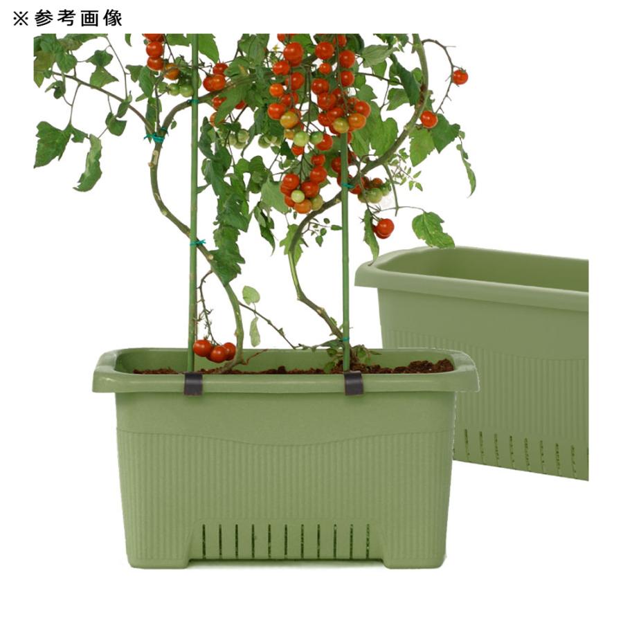 プランター　リッチェル　菜園上手　６３型Ｎ（グリーン）　お一人様３点限り　家庭菜園　園芸　スリット　トマト　実もの野菜　支柱留め具 | リッチェル | 04