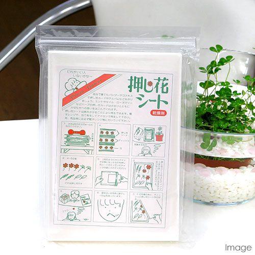 押し花乾燥シート 厚さ１ｍｍレギュラーサイズ １０枚 １６０ ２４０ｍｍ チャーム Charm Paypayモール店 通販 Paypayモール