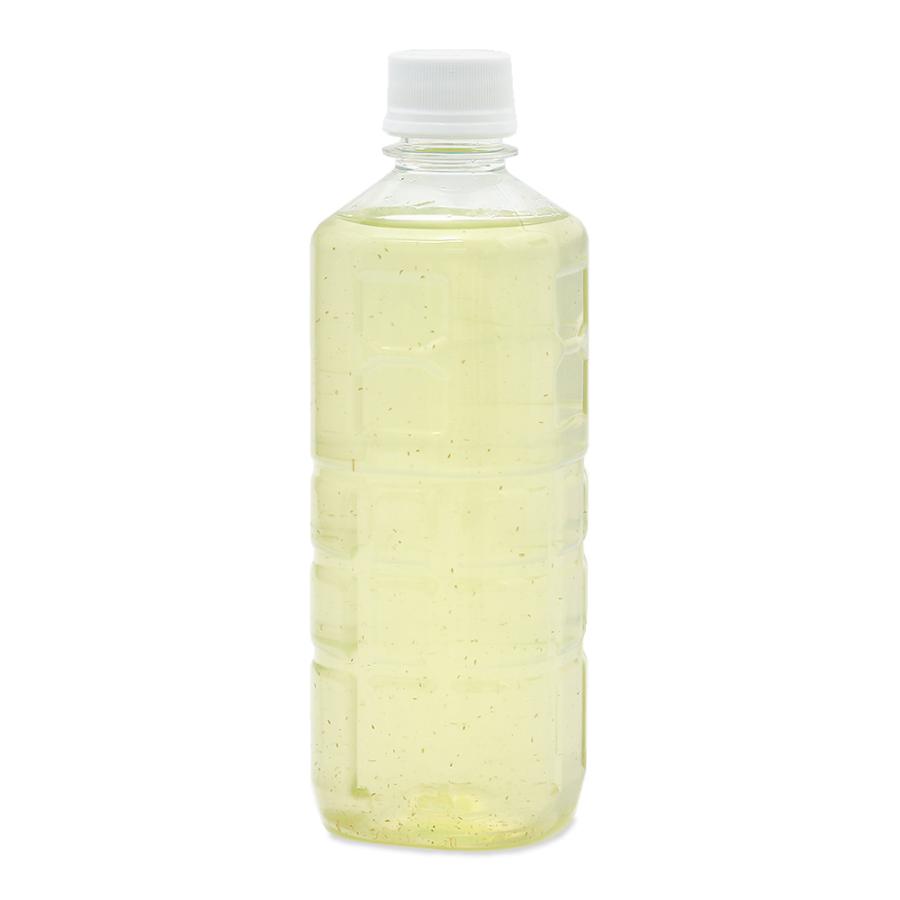 （生餌）ミジンコ　カミハタ　ミジンコ畑　ミジンコ培養セット用　交換セット＋タマミジンコ入り飼育水（５００ｍｌ）１本　本州四国限定 | チャーム（ペット） | 02