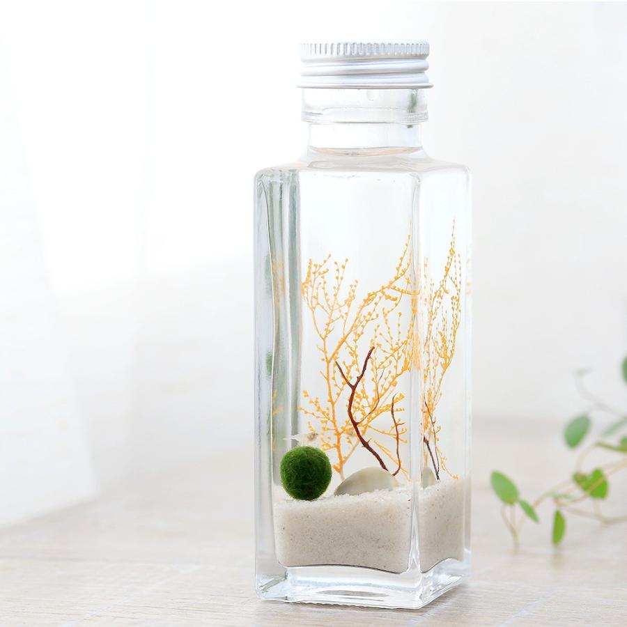 エビ ホロホロ ボトル アウトレットセール 特集 本州四国限定 四角 白