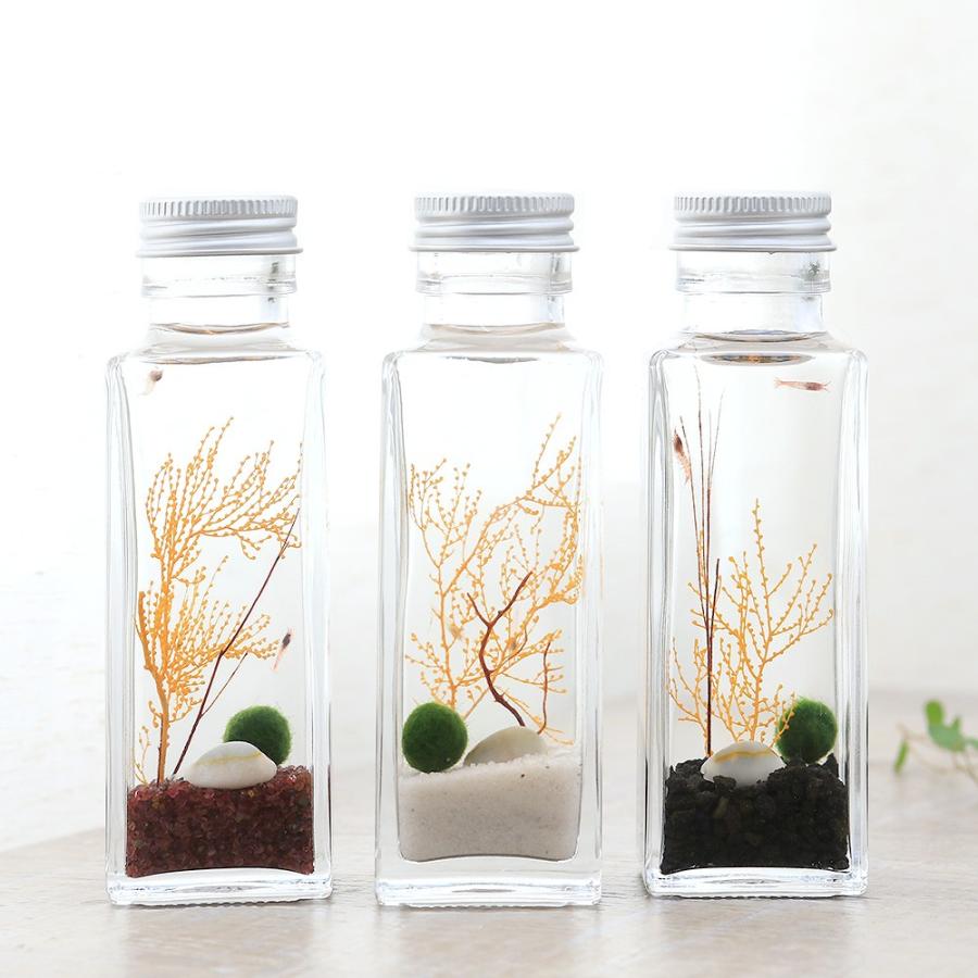 エビ ホロホロ ボトル アウトレットセール 特集 本州四国限定 四角 白