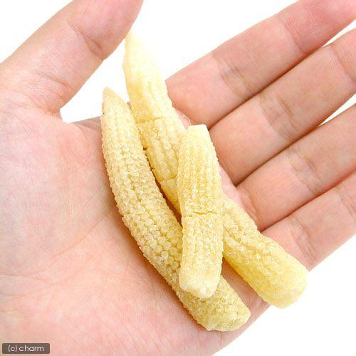 マルカン　大地の恵み　やわらかプチコーン　６０ｇ　穀物　小動物　おやつ | マルカン | 01