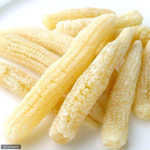 マルカン　大地の恵み　やわらかプチコーン　６０ｇ　穀物　小動物　おやつ | マルカン | 02