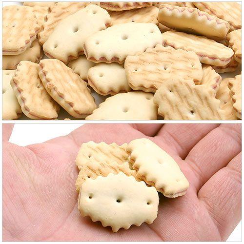  うさぎ bashful biscuit Bunny ビスケット マルカン うさぎのぱくっとクランベリー 50g うさぎ おやつ
