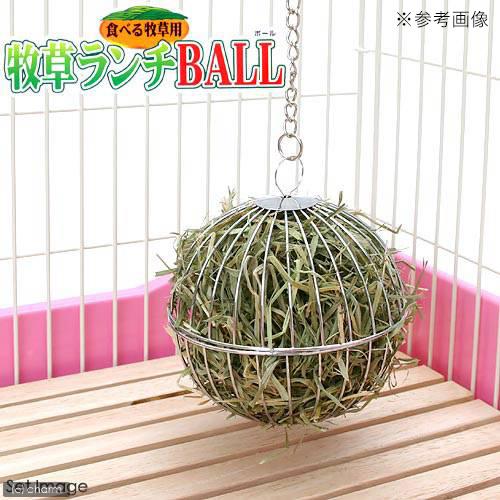 マルカン 食べる牧草用 牧草ランチBALL うさぎ おもちゃ