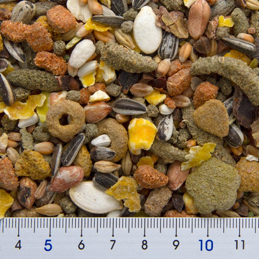 三晃商会 リス・ハムブレンド 500g ハムスターフード えさ エサ 餌