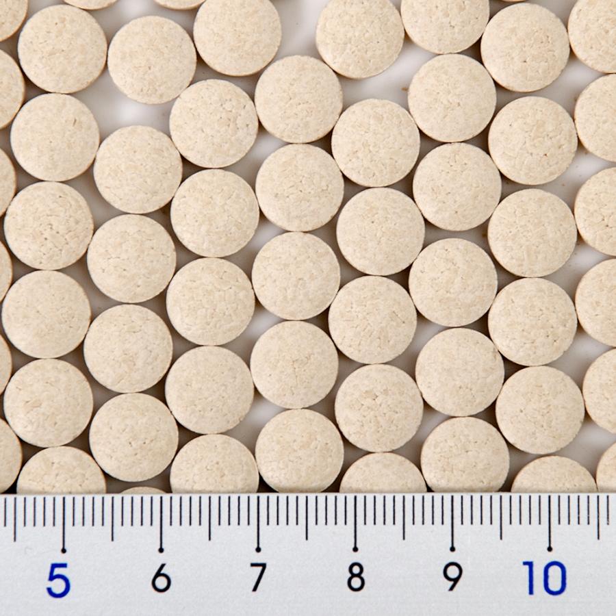 三晃商会　ビタミンＣサプリ（お徳用）　１００ｇ　うさぎ　おやつ | 三晃商会 | 01